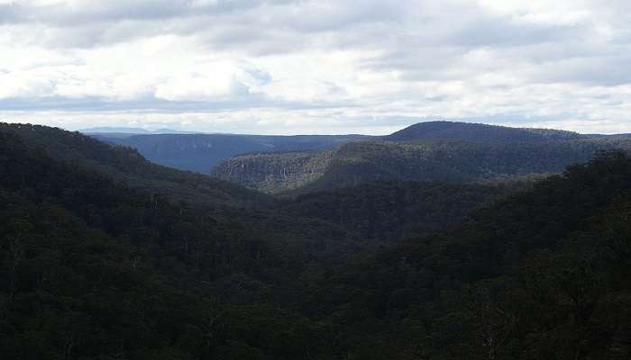 Visit Mount Alexandra near Daintree National Park