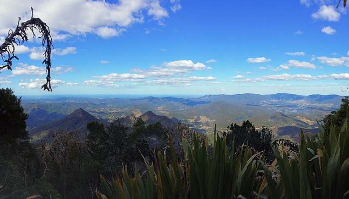 Mount Warning at Murwillumbah.