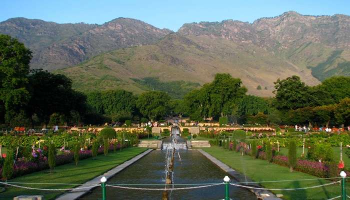 Immerse yourself in the pristine beauty of Chashma Shahi Garden.