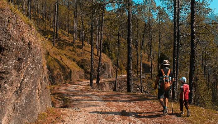 Nagarkot Buddha Peace Park hiking Trails.