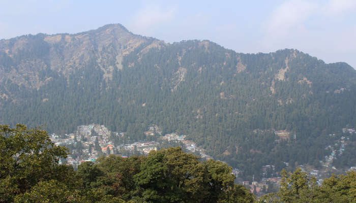 Rufous sibia bird spotted at Naina Peak in Nainital on the route from Delhi To Neem Karoli Baba.