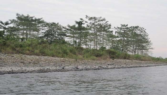 Jia Bhoroli River surrounded by Himalayan mountain at Nameri National Park