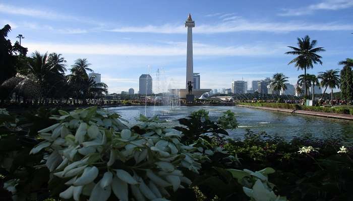 enjoy the sunset view of the National Monument