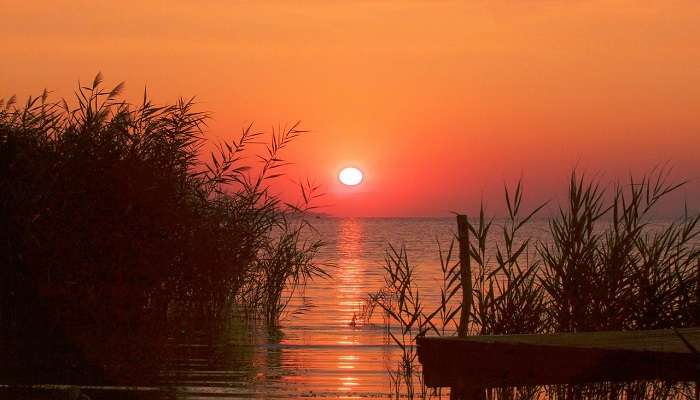 Vagamon Lake is a man-made marvel created by damming a natural stream