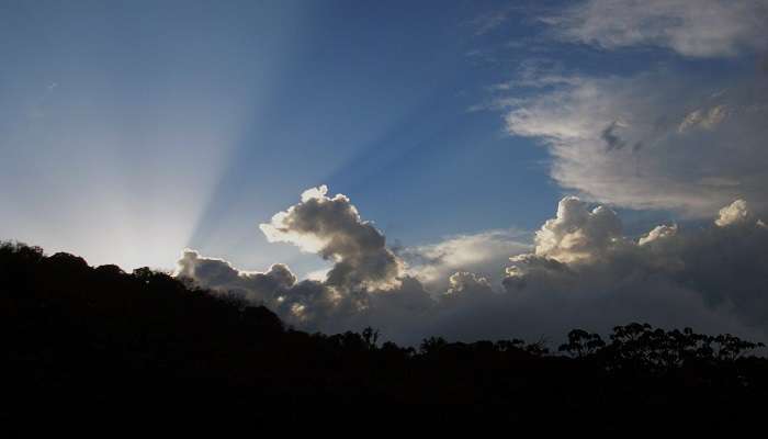 Capture the sunset at Barsey Rhododendron Sanctuary. 