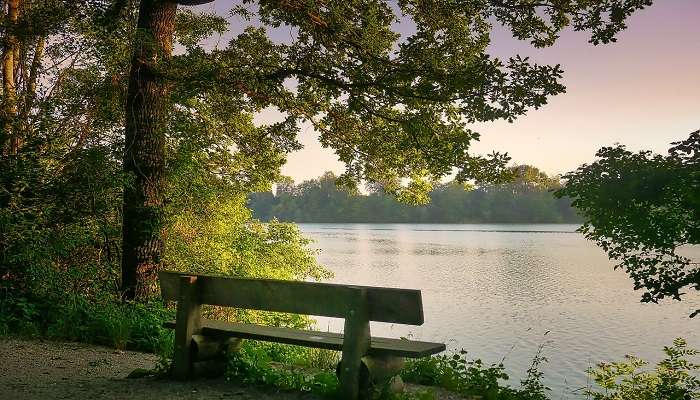 The lake is surrounded by a network of well-maintained walking trails.