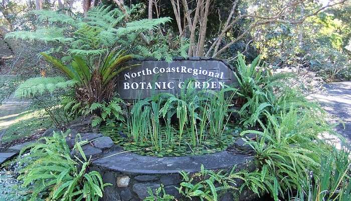 Enjoy the stunning diversity of the North Coast Regional Botanic Garden