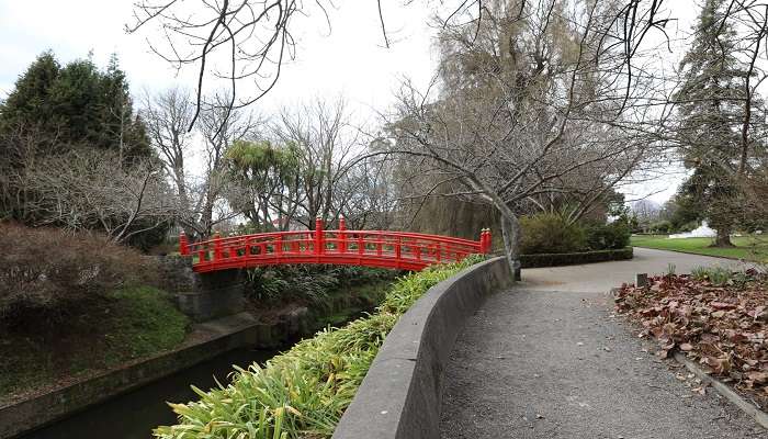 Leafy pathways and vibrant flowers in Oamaru 