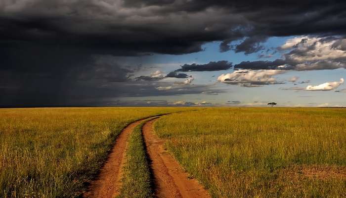 Oloolua Nature Trail offers a picturesque landscape