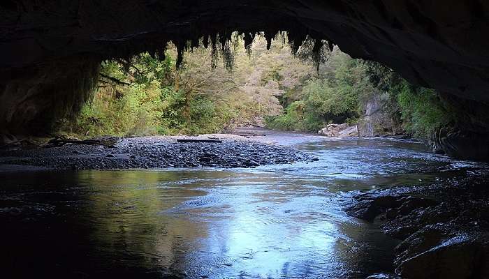 Limestone caves and grand arches surrounded by lush rainforest greenery, top Things to do in Westport