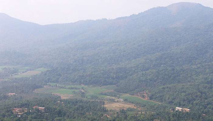 Serene view of Pakshipathalam Bird Sanctuary 