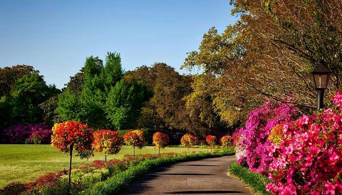 ndira Gandhi Park, Itanagar, is a must-visit among other tourist places in Itanagar.