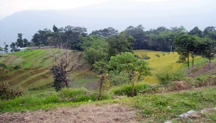 Scenic view of Pedong near Nature Interpretation Centre.