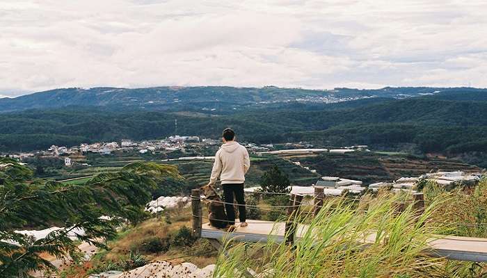 A green landscape with city view