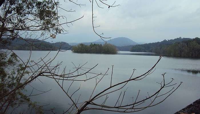 The serene view of Peppara Wildlife Sanctuary