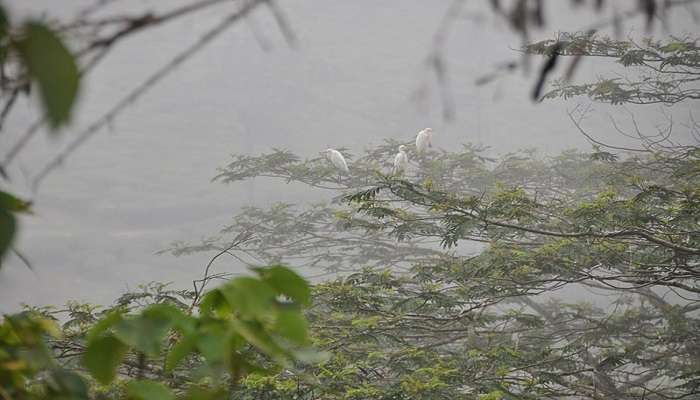 Vagamon Lake is a dream destination for photographers.