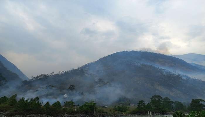 Phrumsengla National Park, A Popular Tourist Spot.