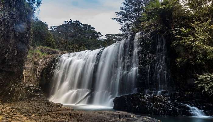 The Guide Falls Reserve in Burnie, Tasmania.