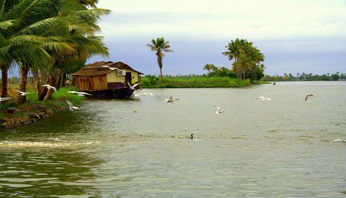 it attracts locals and tourists interested in birds and the probability of sighting some of the rare species in this region.