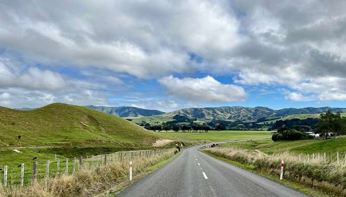  Relax, have wonderful New Zealand food meals, and liaise with the hospitable Pahiatua people.