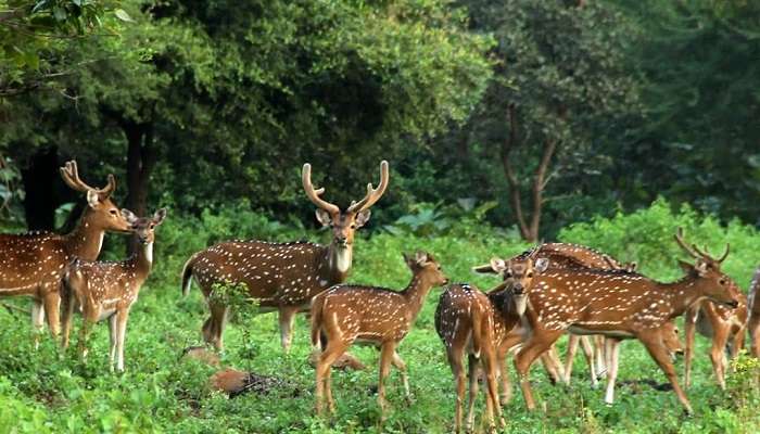 Entrance to Ralamandal Wildlife Sanctuary, near Geeta Bhawan in Indore