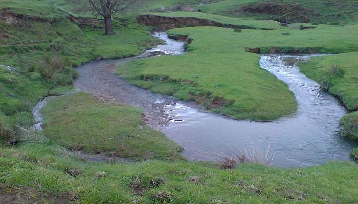 A picturesque view of the natural landscape surrounding Waitomo Caves.