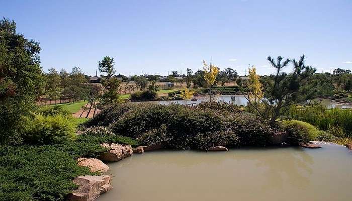 Garden in, New South Wales