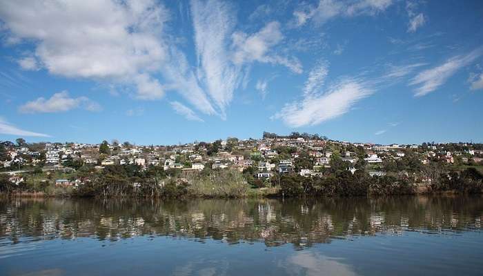 Tamar River