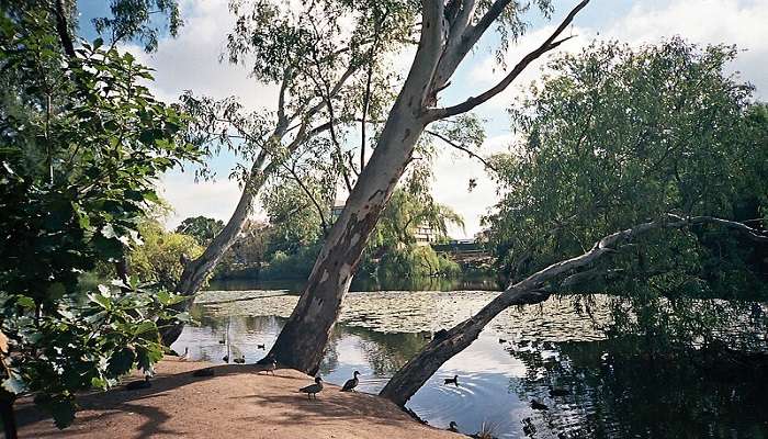 An image of Wollundry Lagoon