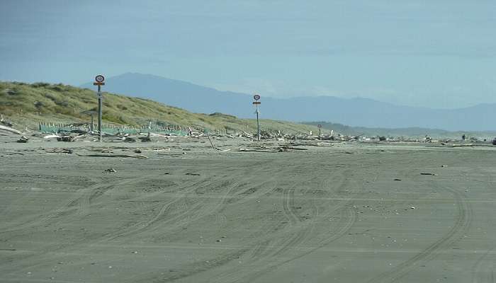 Beach-goers basking in the calm waters and sandy shores of Foxton Beach.