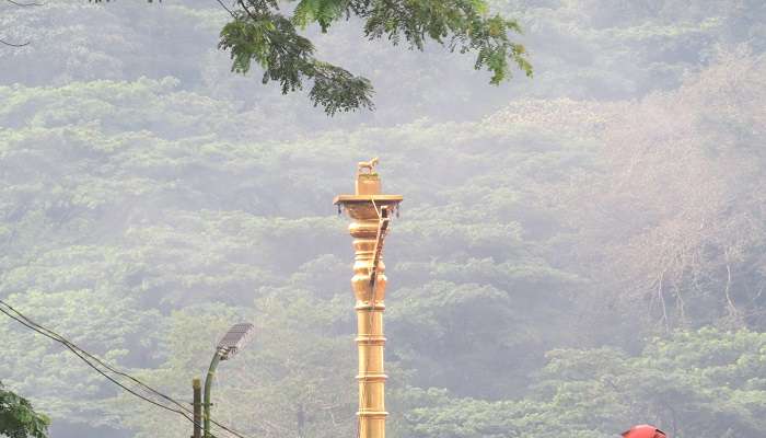 A beautiful picture taken in Sabarimala Temple during Periyar Butterfly Survey.