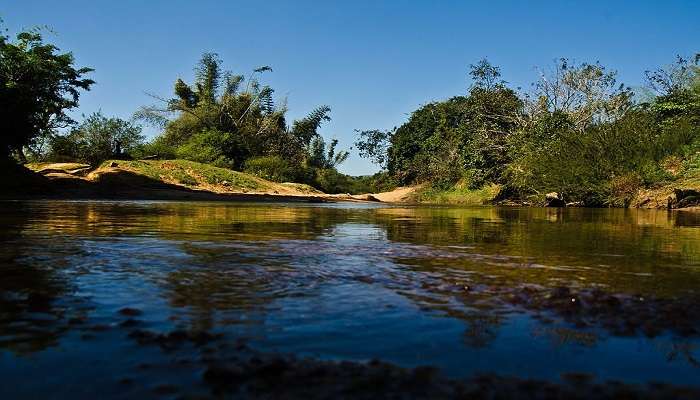 Visit Sakaleswara temple on your one day trip to Sakleshpur