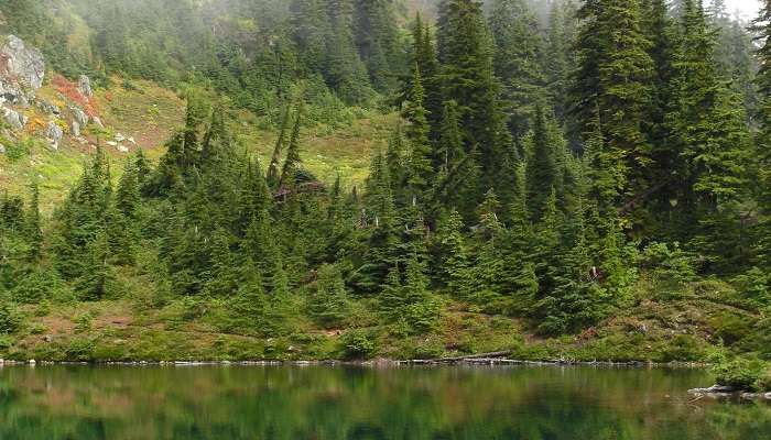 Scenic Sally Lake in Lower Dibang Valley