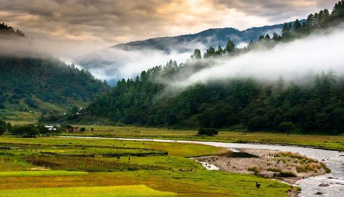  Witness the beauty of the Sangti Valley, which is one of the top attractions near Mandala Top