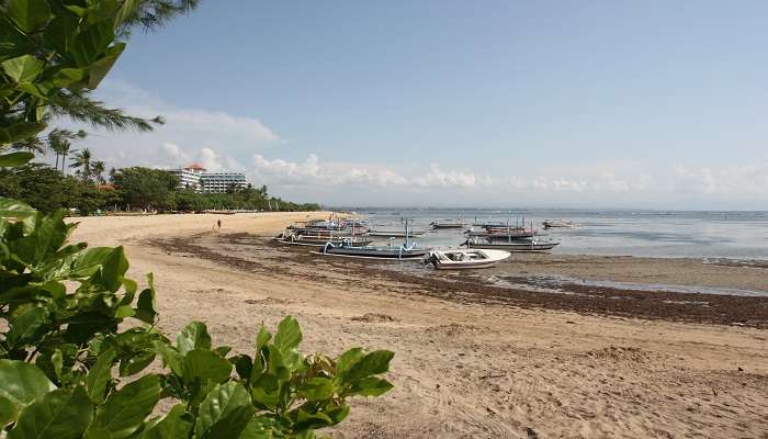 Get the aerial view of the sanur beach and know some of the bali bombing facts