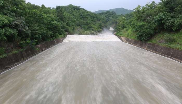 Sardar Sarovar Dam surrounded by lush greenery 