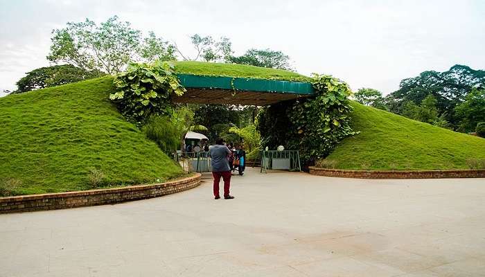 The entrance to the floral paradise.