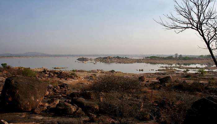 Birds flying in the middle of Shamirpet Lake 