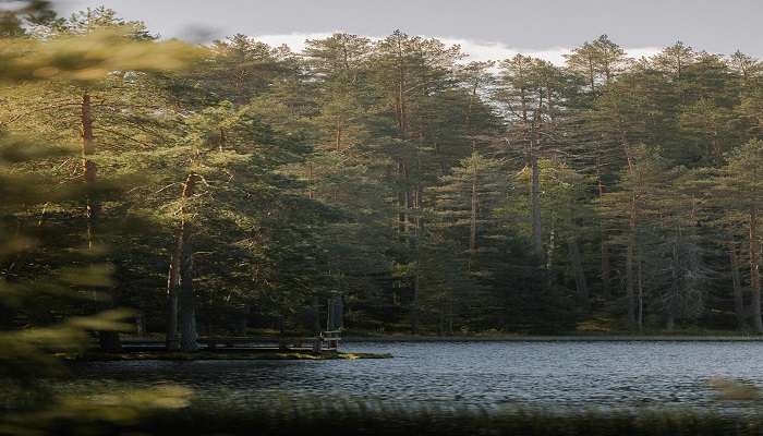 Shasthamugal Lake to explore.