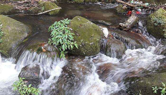 Gurgling streams with water cascading down at Shivapuri Nagarjun National Park.