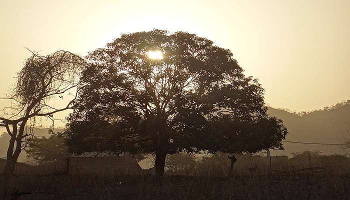 Sunset at the Shoolpaneshwar Wildlife Sanctuary