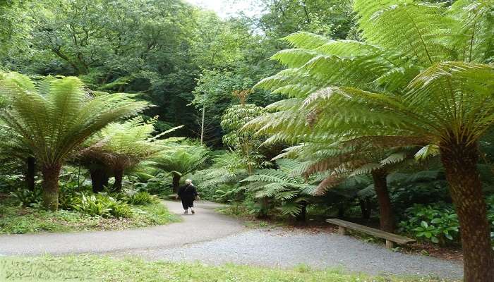 TFernglage Platypus Reserve