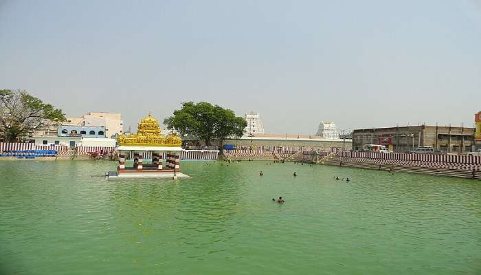 The scenic & spiritual bliss of the temple and the Sarovar, truly one of the best places to visit.