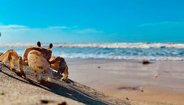 Suryalanka Beach under blue sky near the Uppada Beach.