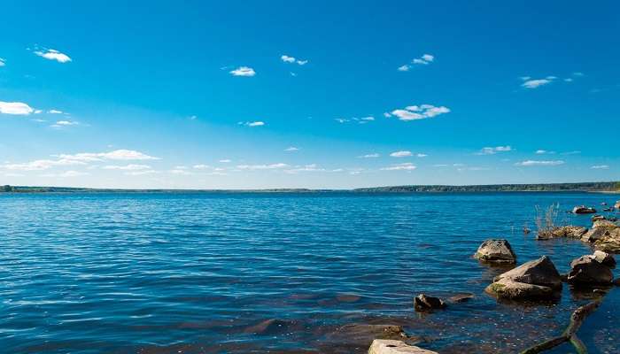 Go swimming inside the Nameri National Park