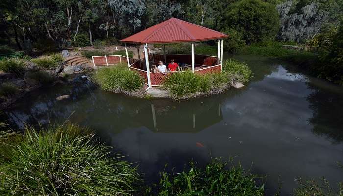 Enjoy the serene views at the tamworth regional Botanical Garden