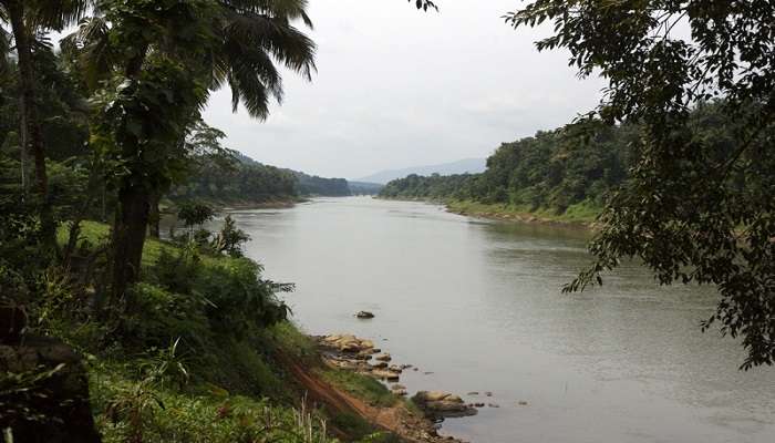 Thattekad Bird Sanctuary in Kothamangalam Kerala