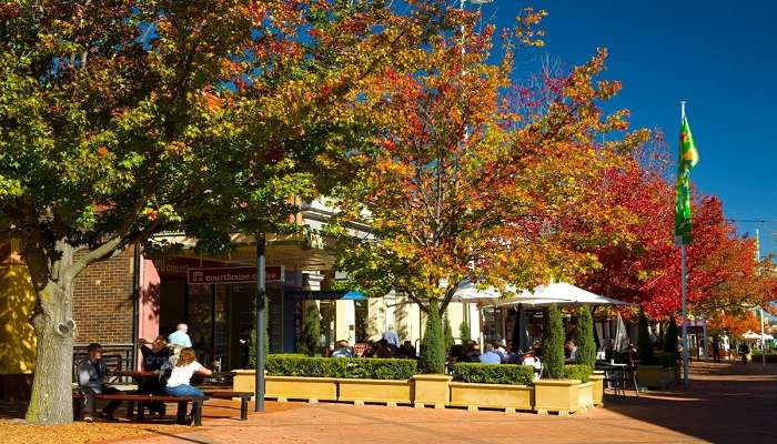 Spring and autumn are generally considered to be the best seasons to visit Armidale.