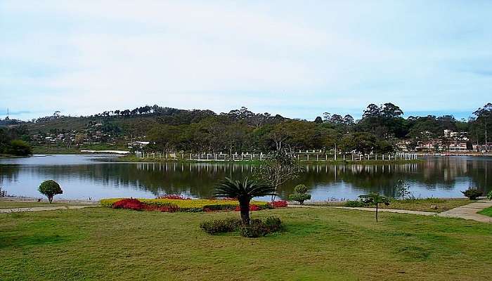 Clear skies and calm waters of Emerald Lake Yercaud during summer