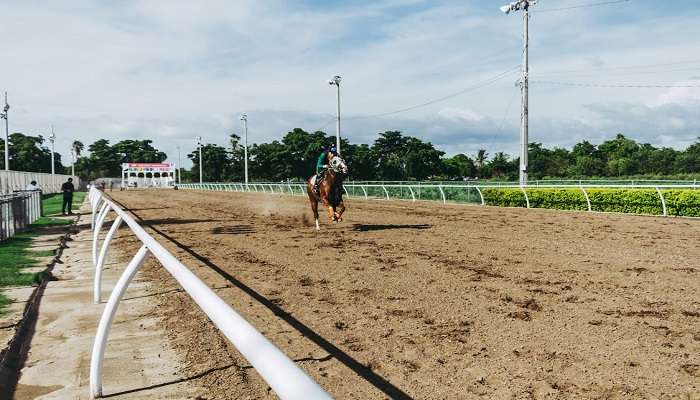 A Horse Racing at The Entertainment Grounds